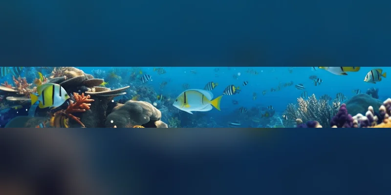 Mega Fishing Tactics